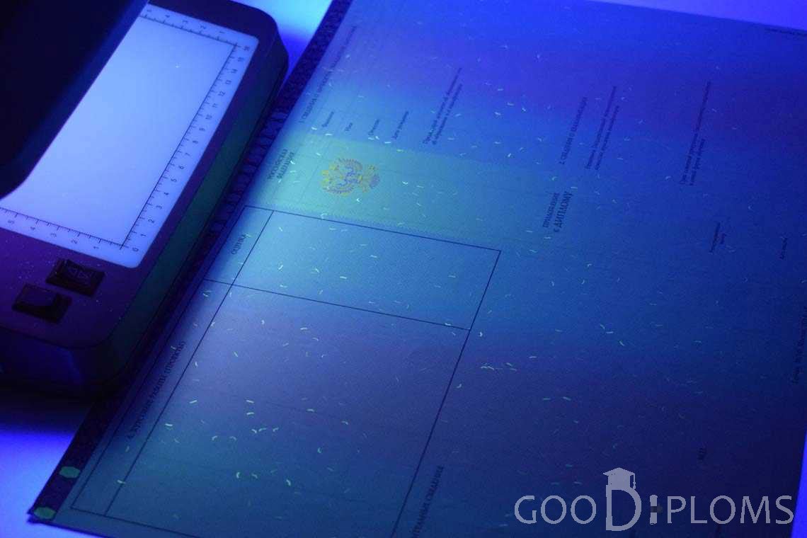 Приложение к Диплому Бакалавра с Отличием в Ультрафиолете период c 2013 по 2025 год - Черкассы