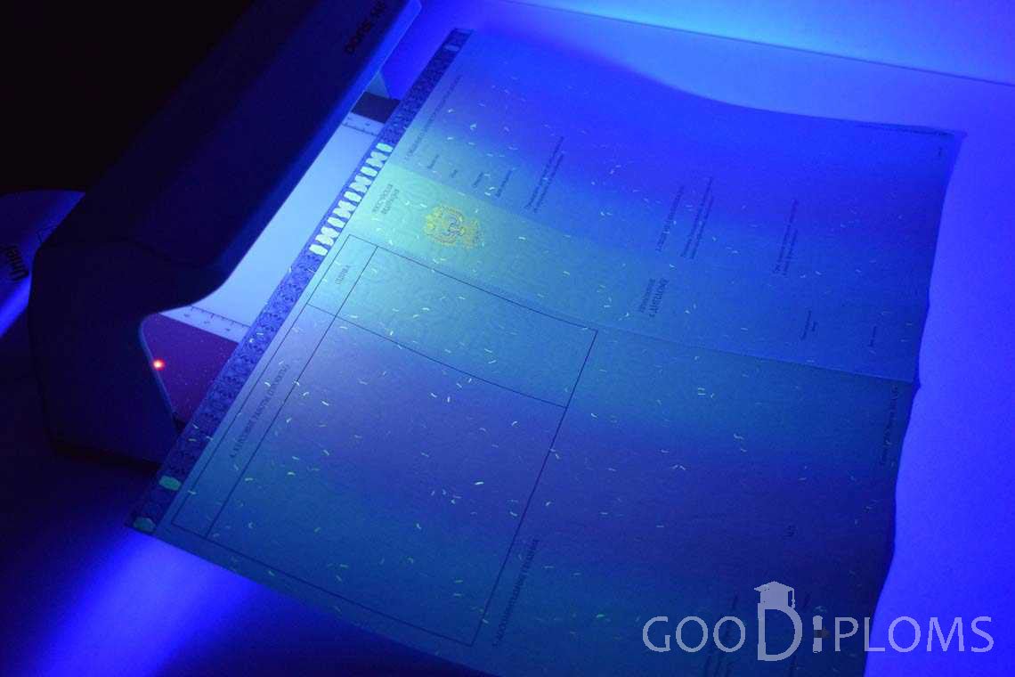 Приложение к Диплому Магистра в Ультрафиолете в период c 2014 по 2025 год - Черкассы