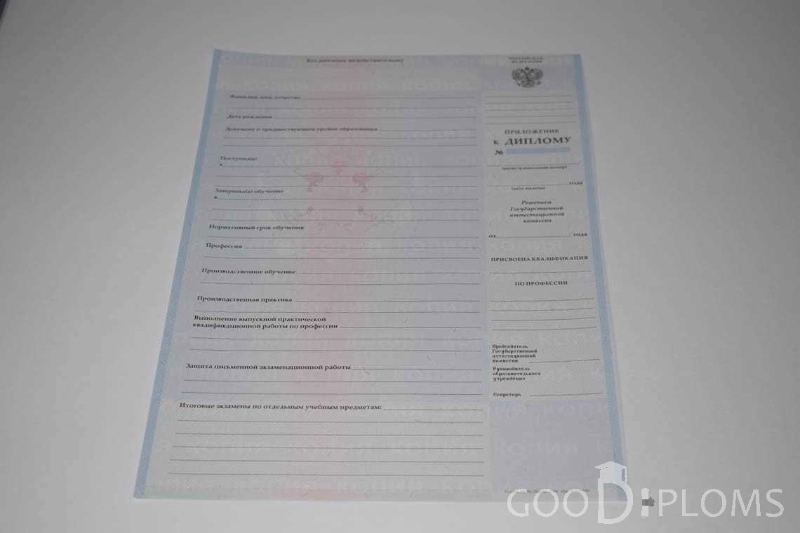 Приложение к Диплому Техникума с Отличием в период c 2008 по 2010 год - Черкассы