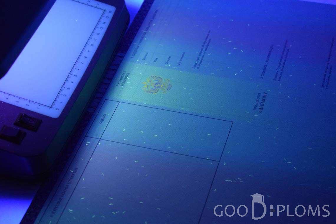 Приложение к Диплому о Высшем Образовании с Отличием в Ультрафиолете - Черкассы